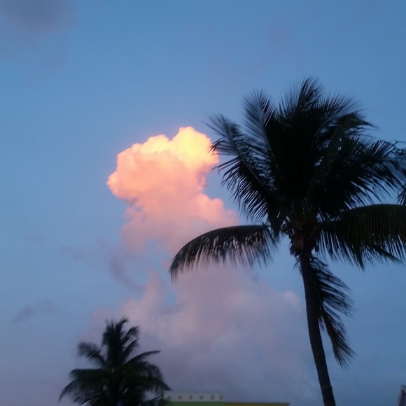 Meet your Posher, Scott - Picture 1 of 1